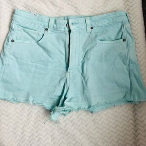 American Eagle Mint Green Denim Shorts